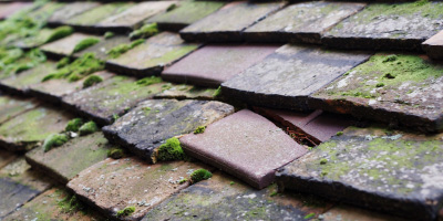 Adstock roof repair costs